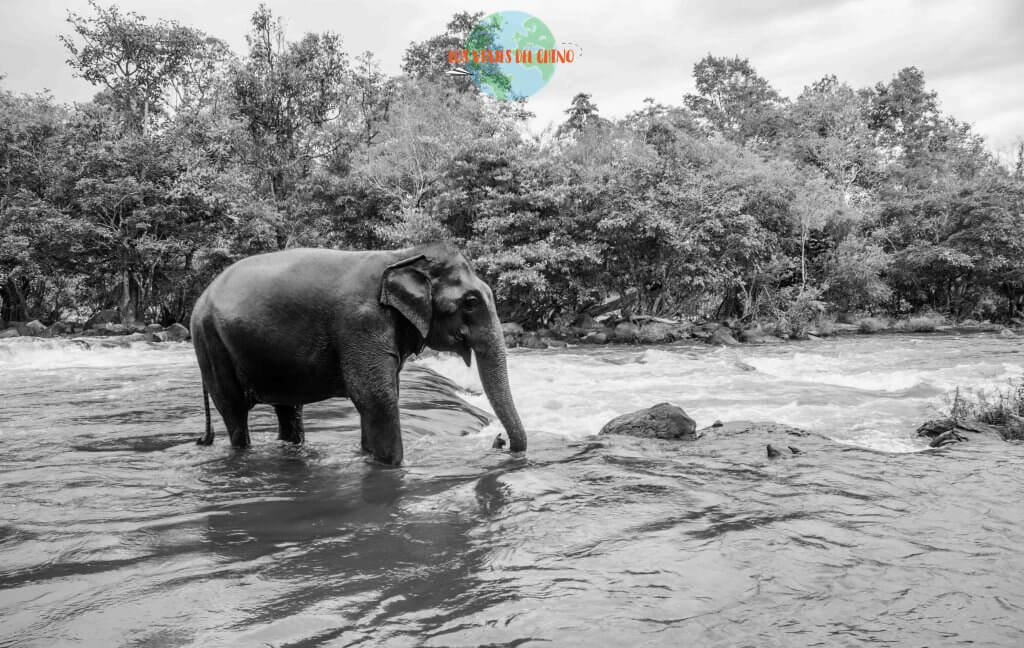 qué visitar en Laos