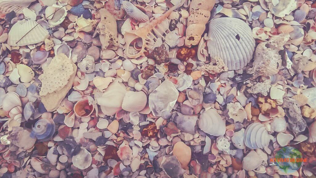 cómo llegar a Ao Nang desde Surat Thani