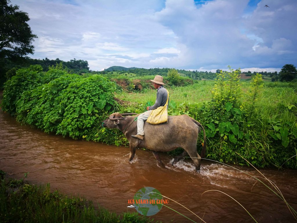 consejos para viajar por Asia