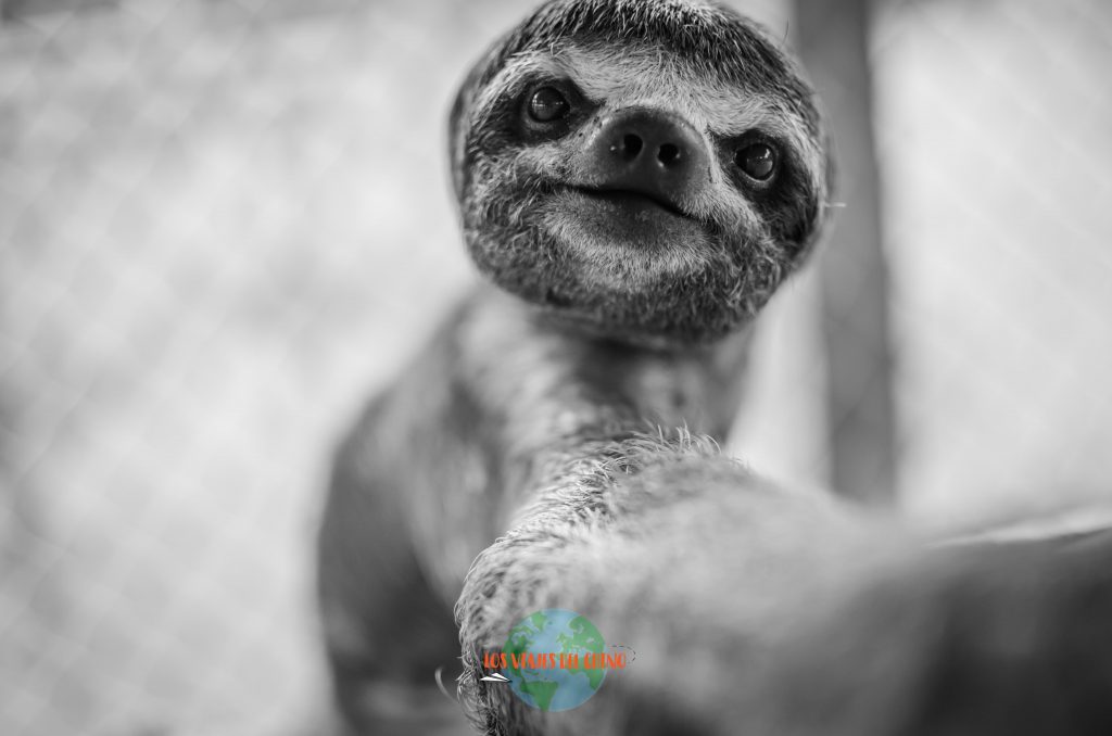 viajar a Iquitos, Perú