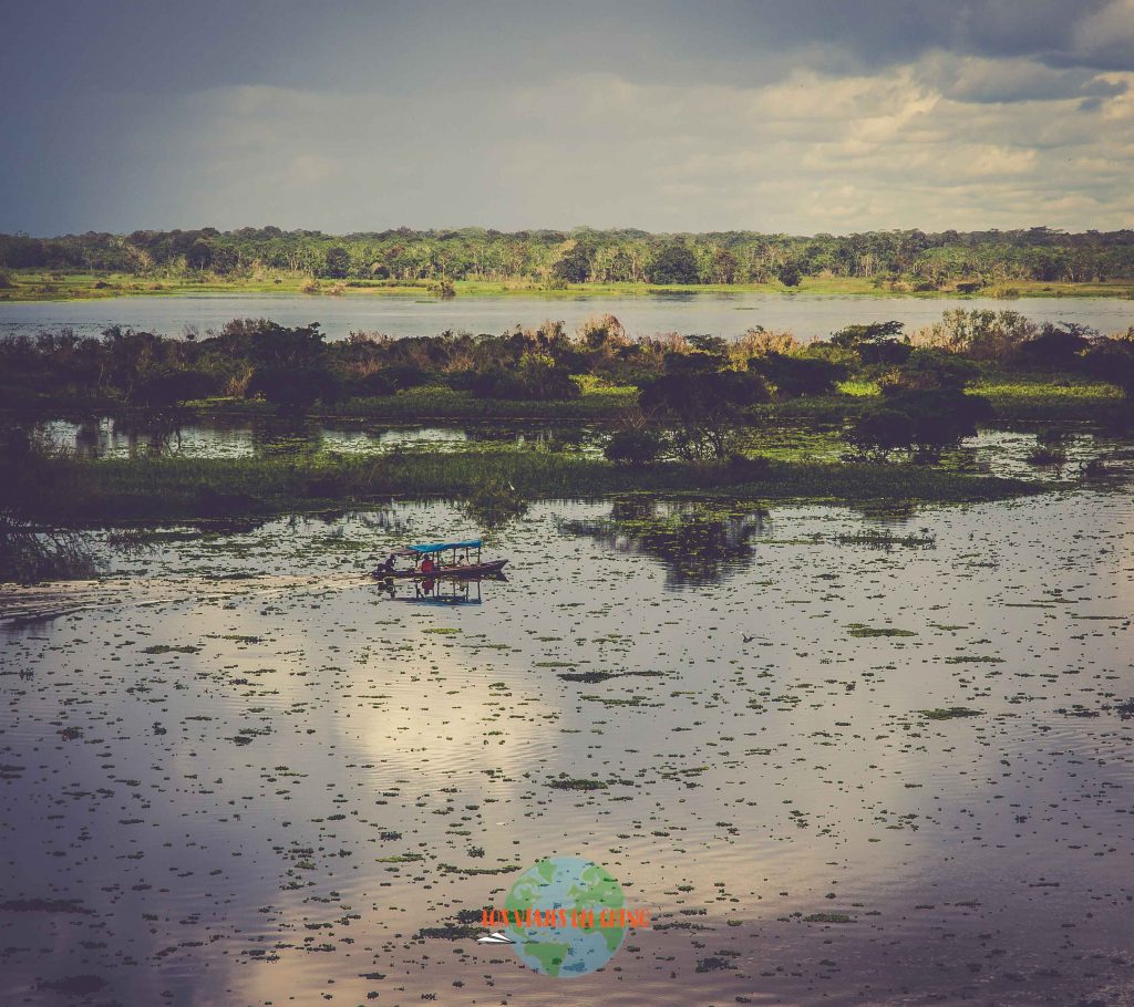 El amazonas, el río más grande del mundo