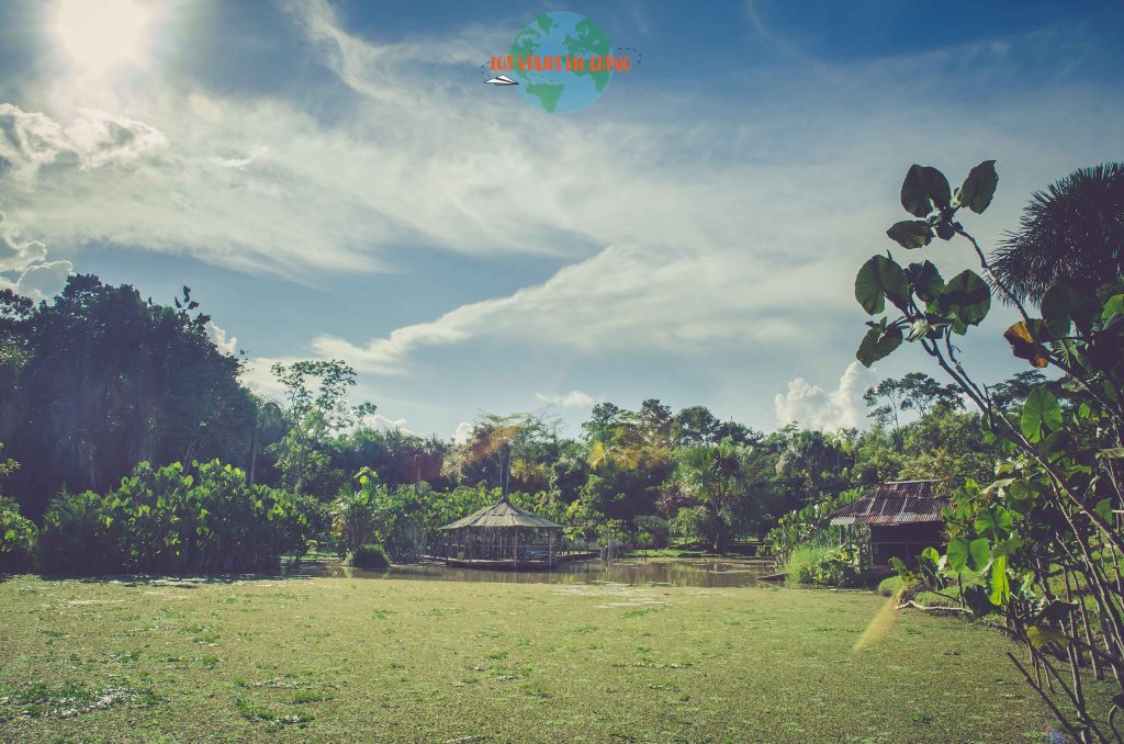 fundo Pedrito, Iquitos