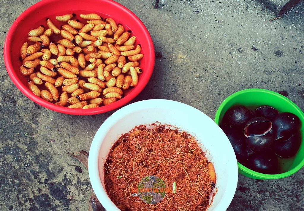 Comer suri en el mercado